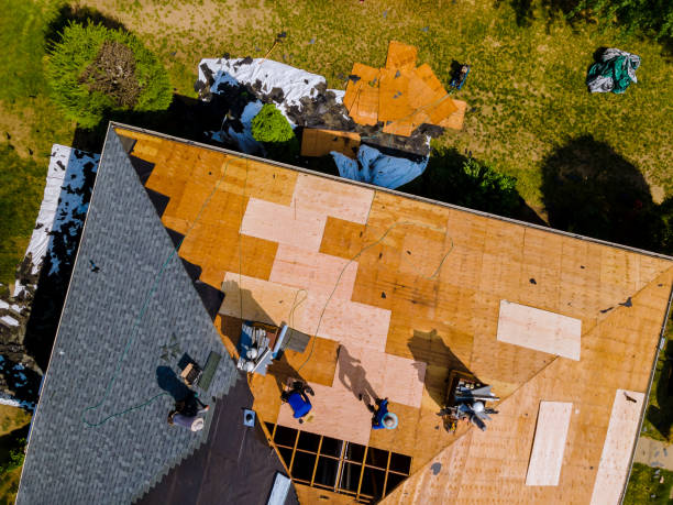 Best Emergency Roof Repair  in Timberville, VA