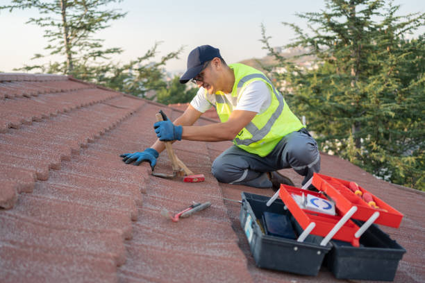 Best Roof Maintenance Services  in Timberville, VA